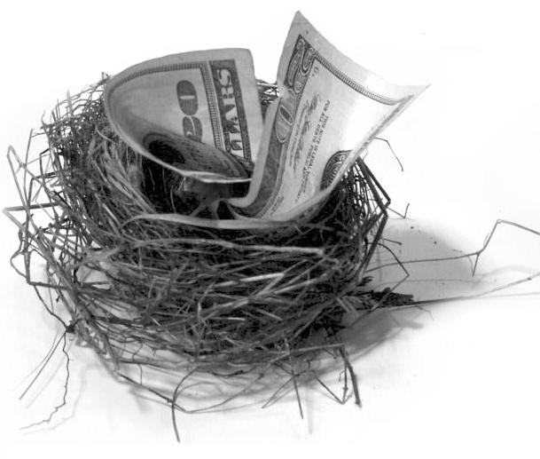 money-nest-egg
