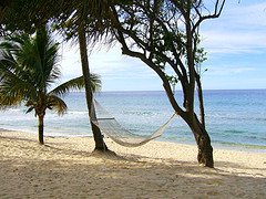 Hammock at the Beach Hammock