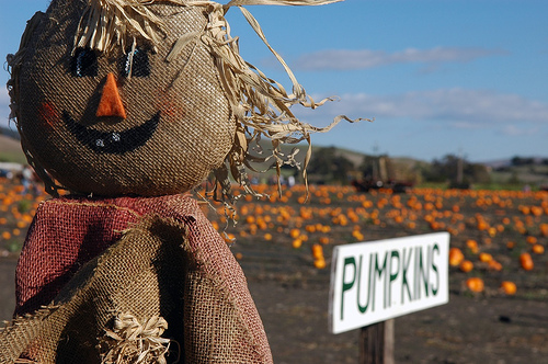 Pumpkins