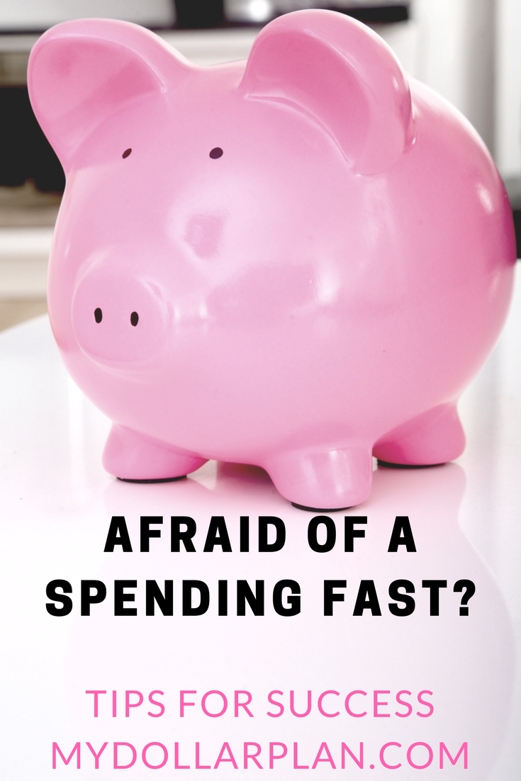 If you have ever considered a spending fast, but were afraid to try it, here are tips to help you get started!